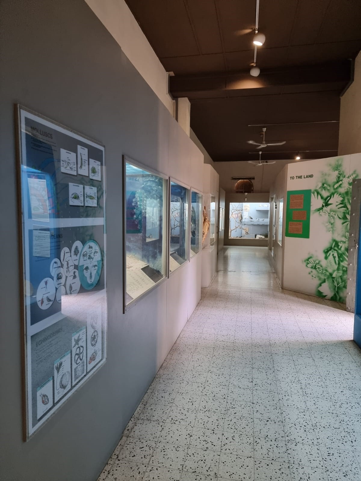 WhatsApp Image 2021-12-13 at 9.33.28 AM (1)